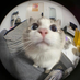 MrShadow